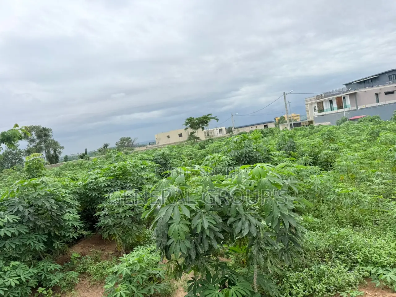 Vente De Terrain a Bingerville