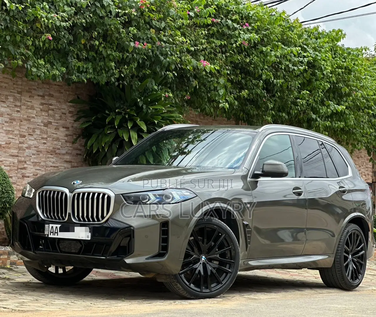 BMW X5 xDrive40i Sports Activity Vehicle 2025 Argenté