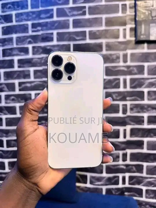 Nouveau Apple iPhone 13 Pro Max 256 GB Blanc