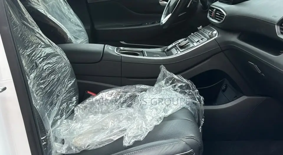 Hyundai Santa Fe 2022 Blanc