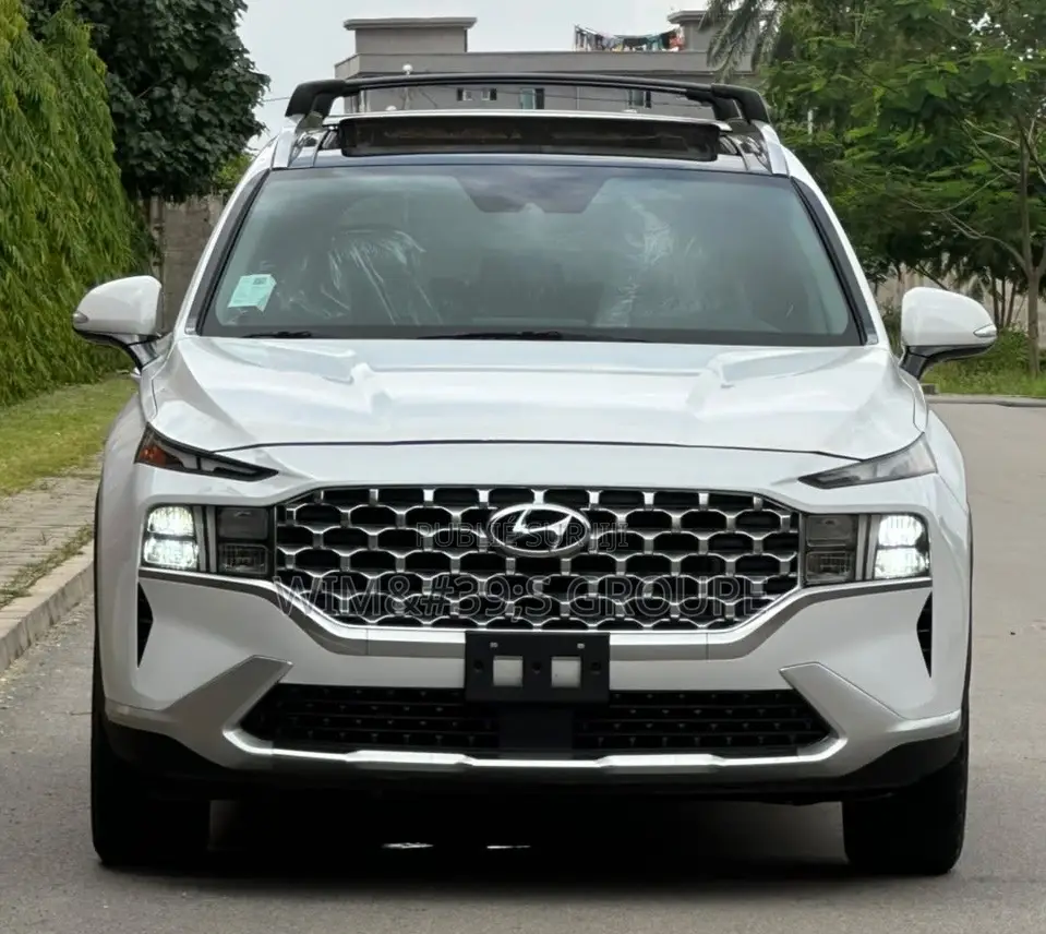 Hyundai Santa Fe 2022 Blanc
