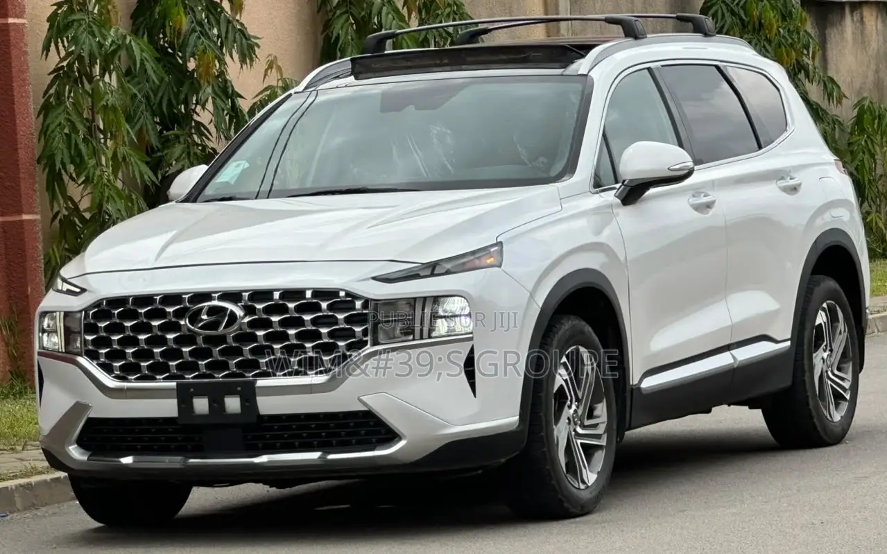 Hyundai Santa Fe 2022 Blanc