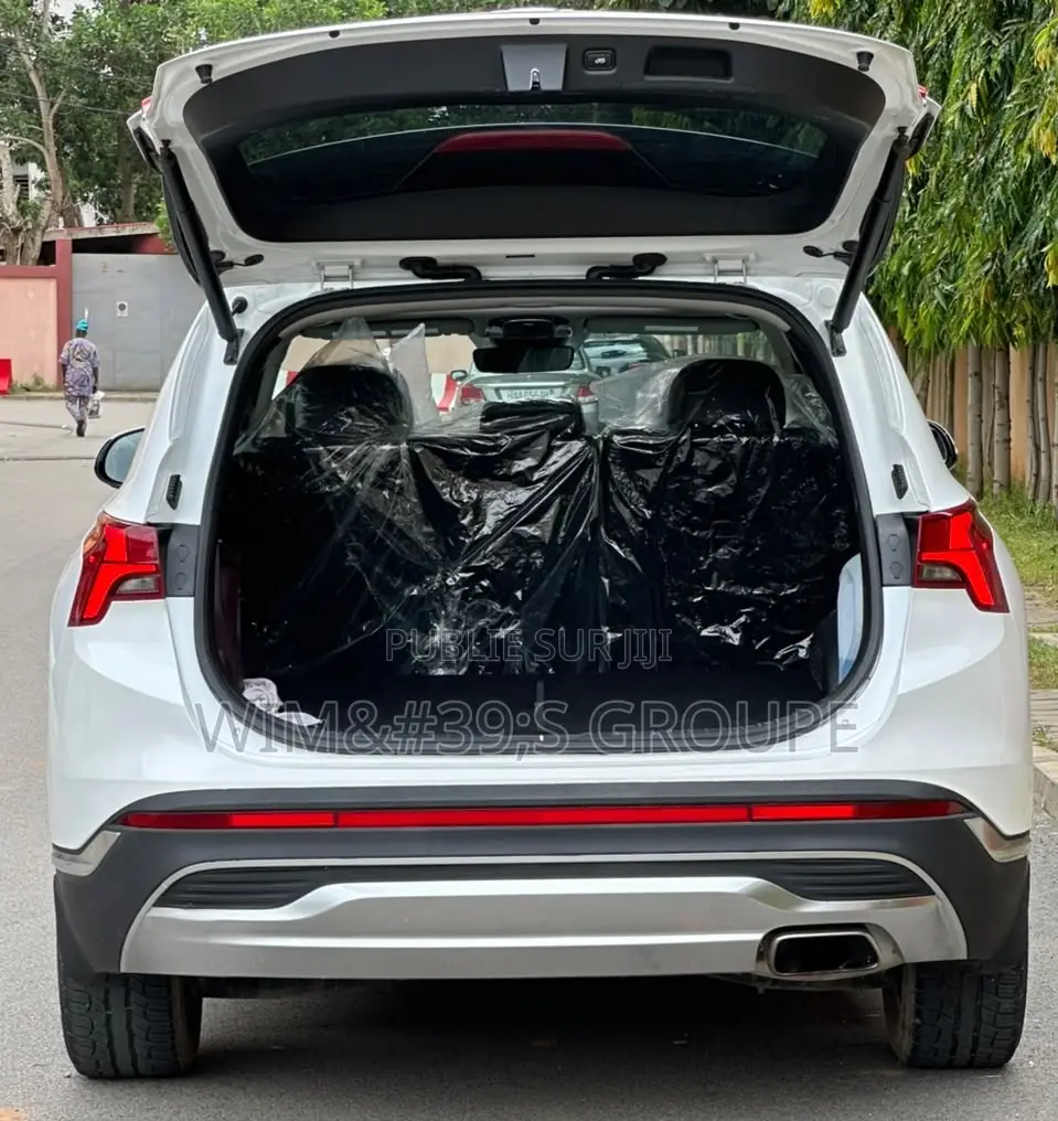 Hyundai Santa Fe 2022 Blanc