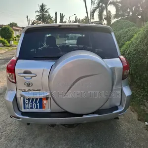 Toyota RAV4 2007 Gris