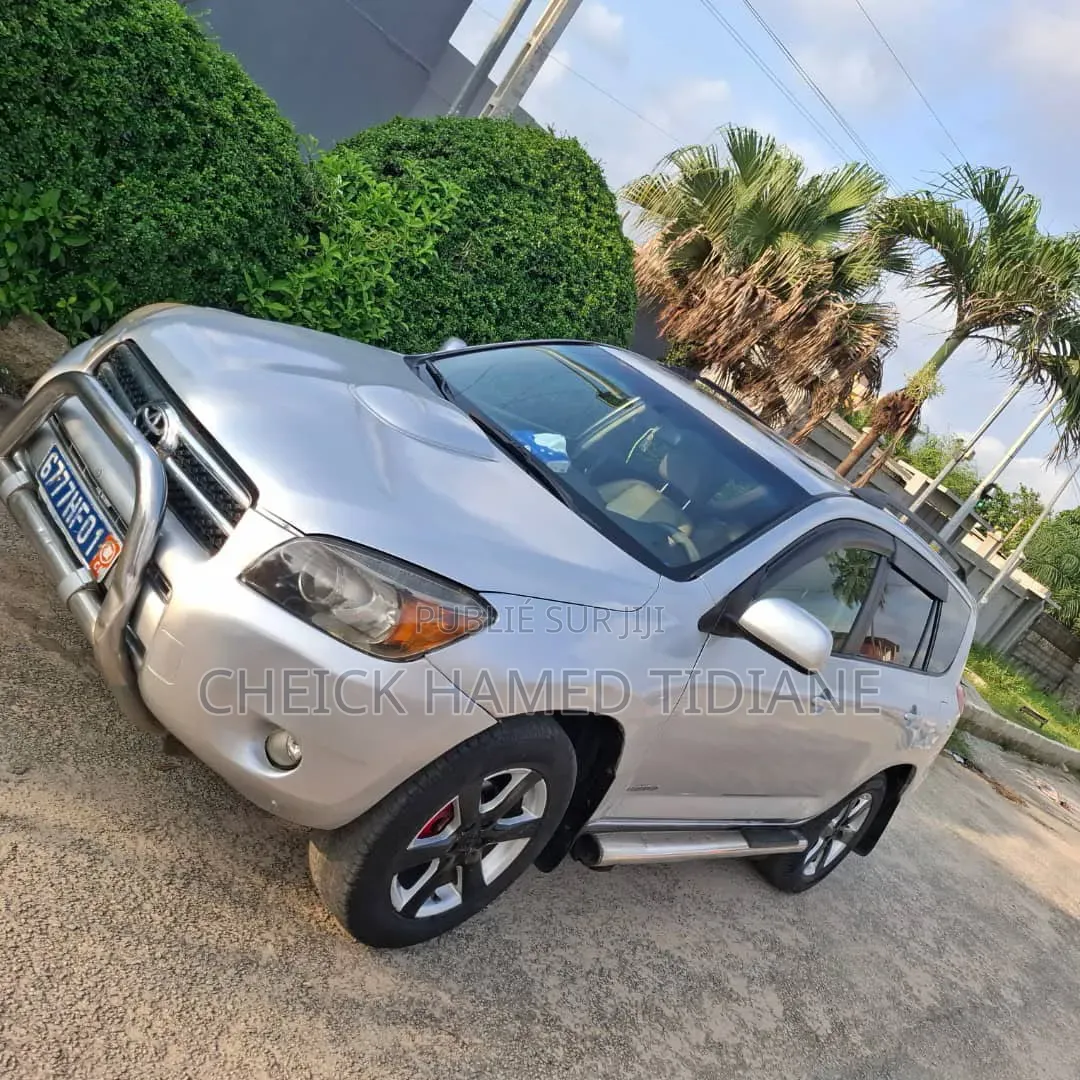 Toyota RAV4 2007 Gris
