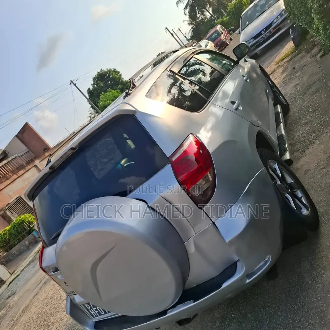 Toyota RAV4 2007 Gris