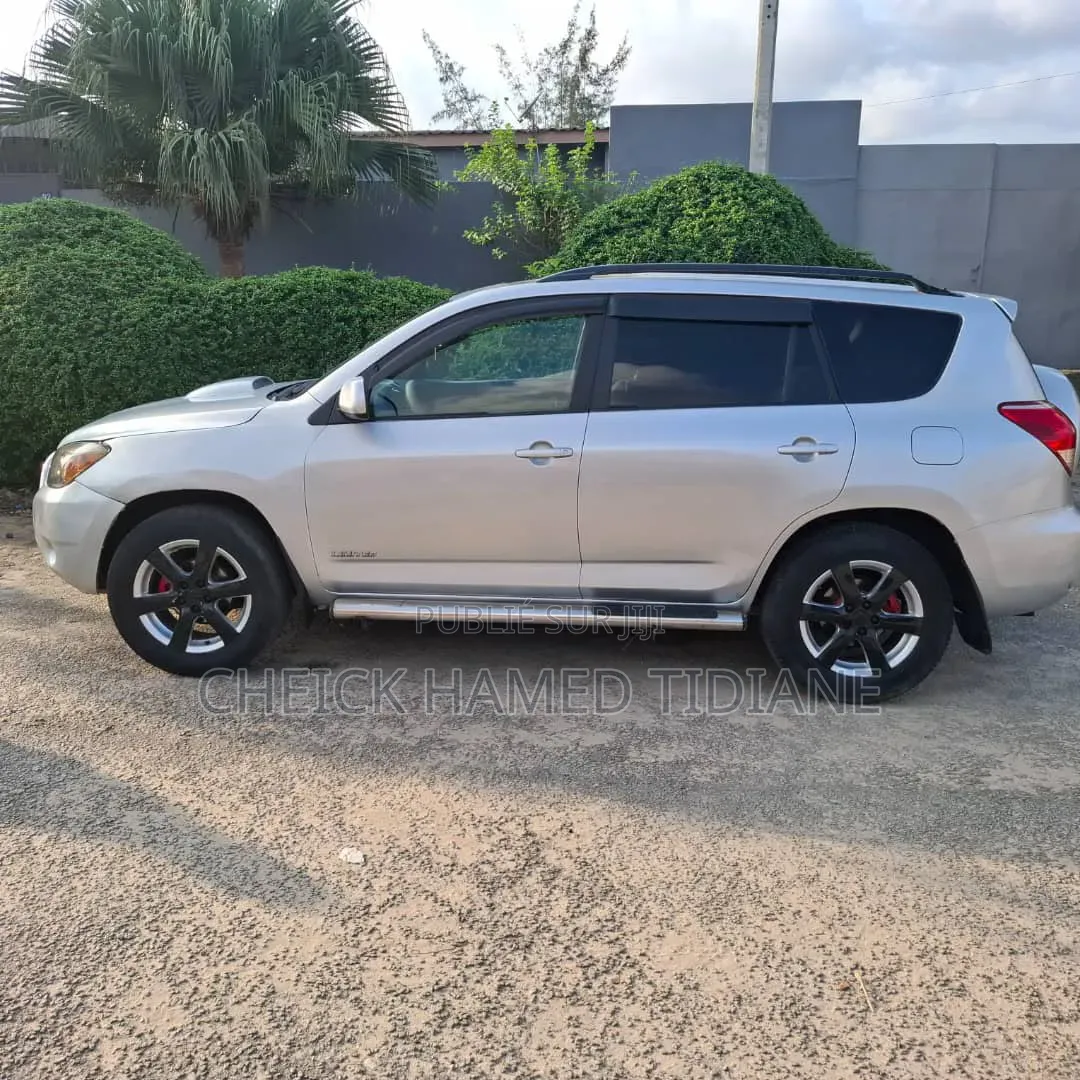 Toyota RAV4 2007 Gris