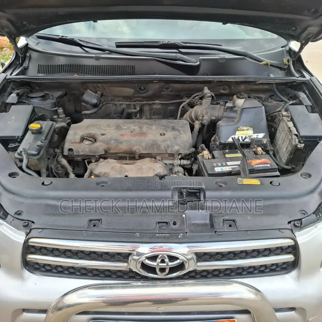 Toyota RAV4 2007 Gris