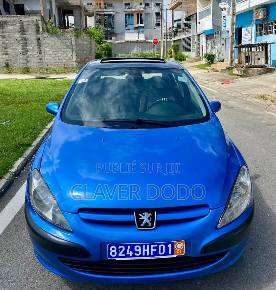 Peugeot 307 2007 Bleu