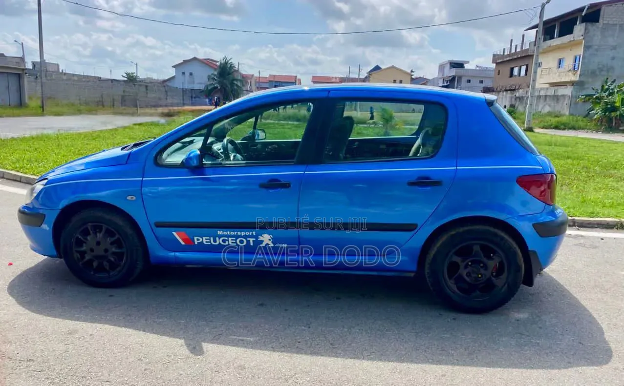 Peugeot 307 2007 Bleu