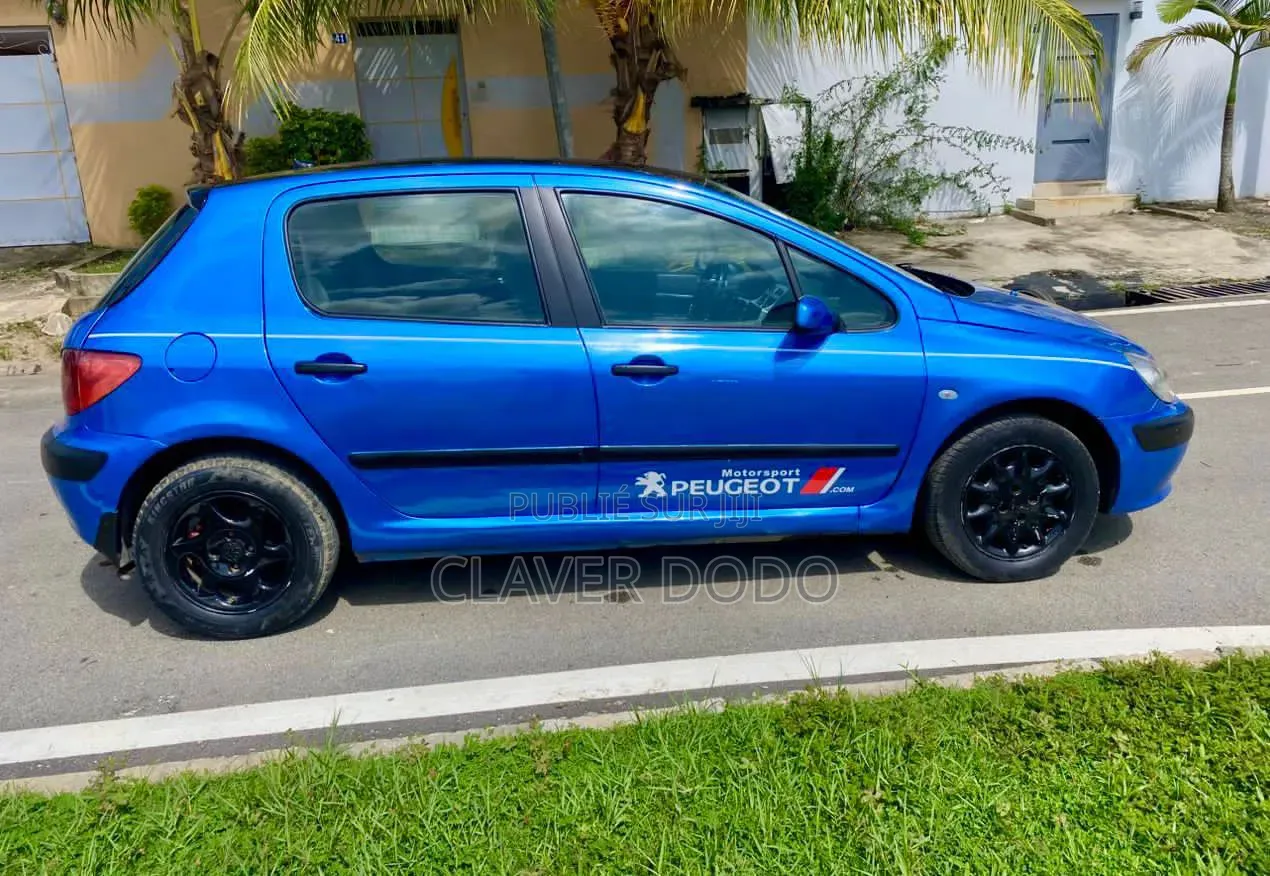 Peugeot 307 2007 Bleu