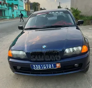BMW 316i 2001 Bleu