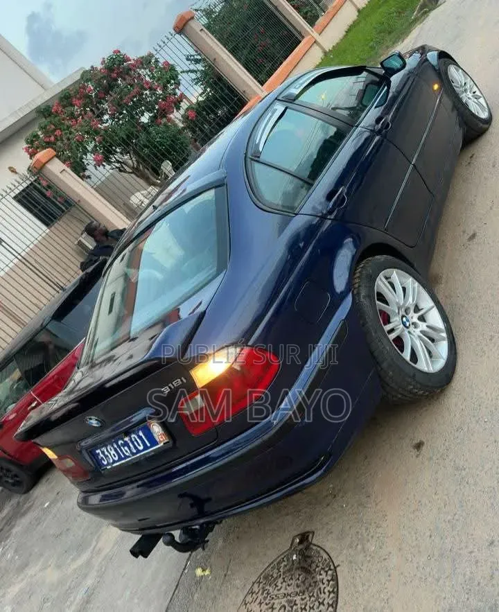 BMW 316i 2001 Bleu