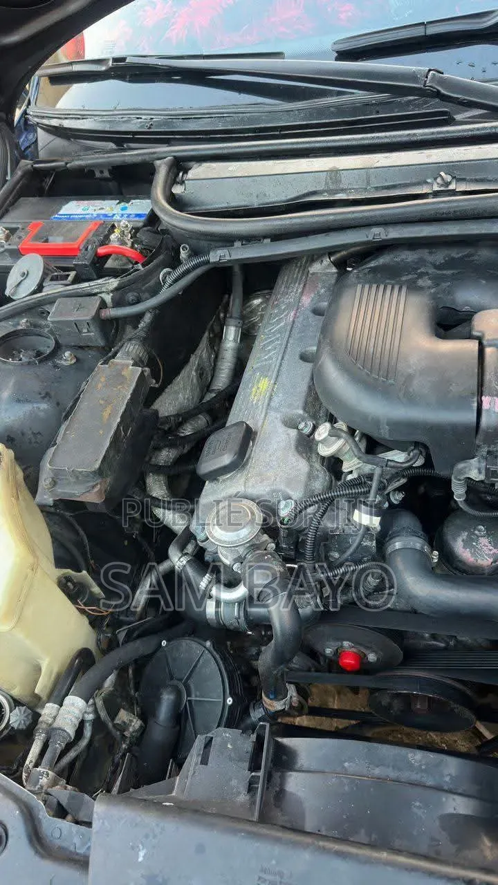 BMW 316i 2001 Bleu