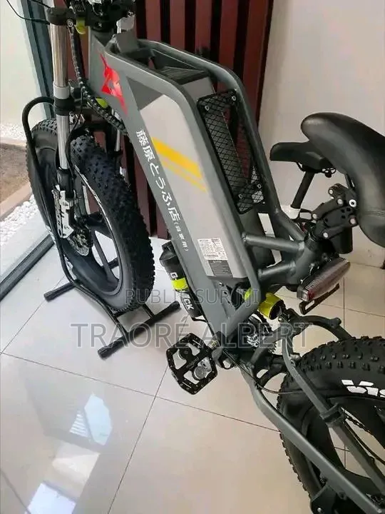 Vélo Électrique