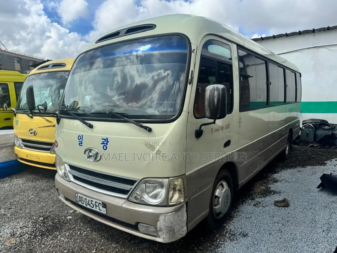 Hyundai County 2018 Gris