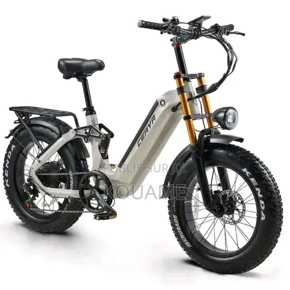 Vélo Électrique