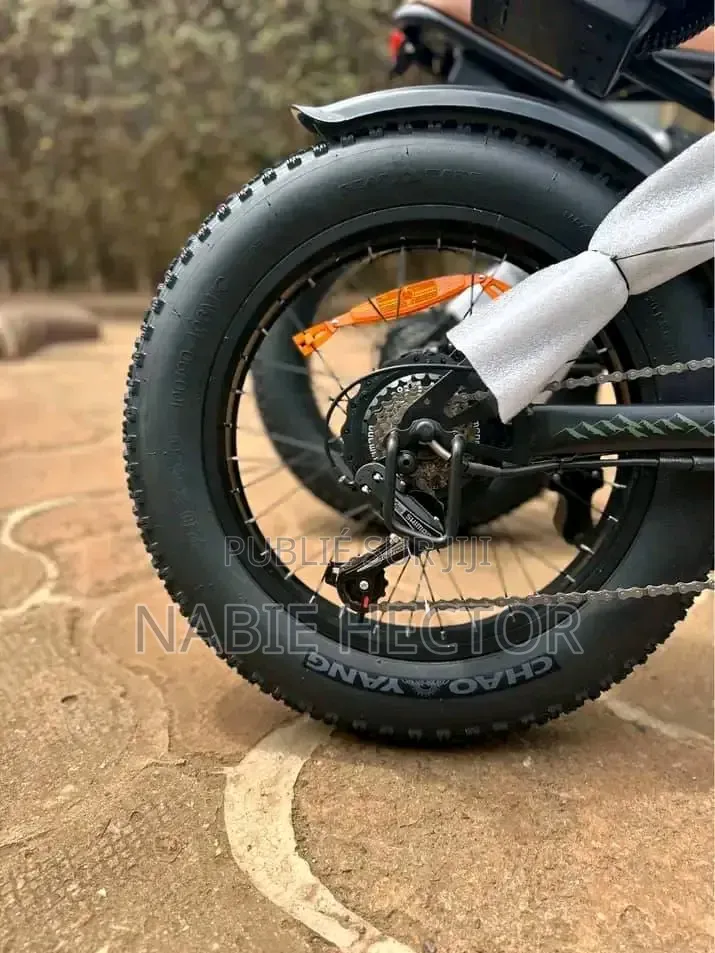 Vélo Électrique