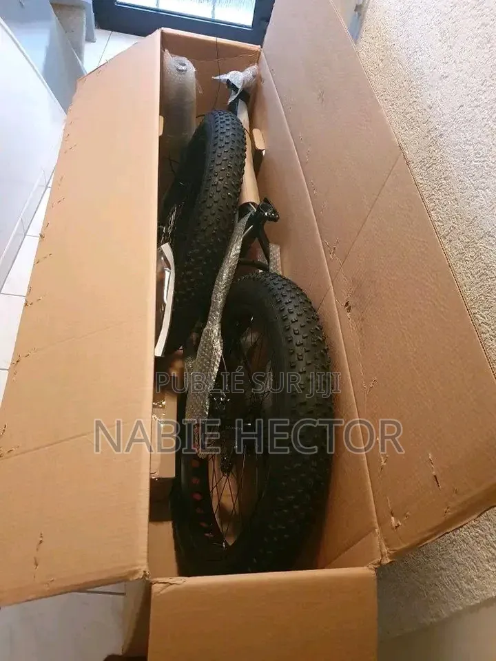 Vélo Électrique