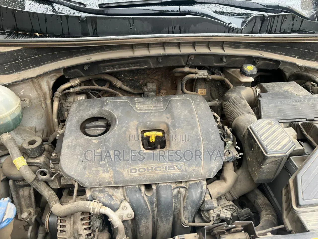 Kia Sportage EX AWD 2019 Gris