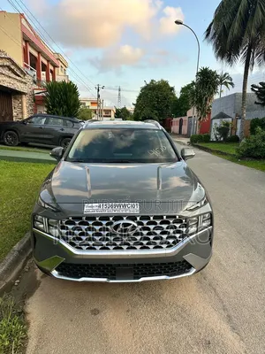 Hyundai Santa Fe 2023 Gris