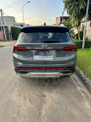 Hyundai Santa Fe 2023 Gris