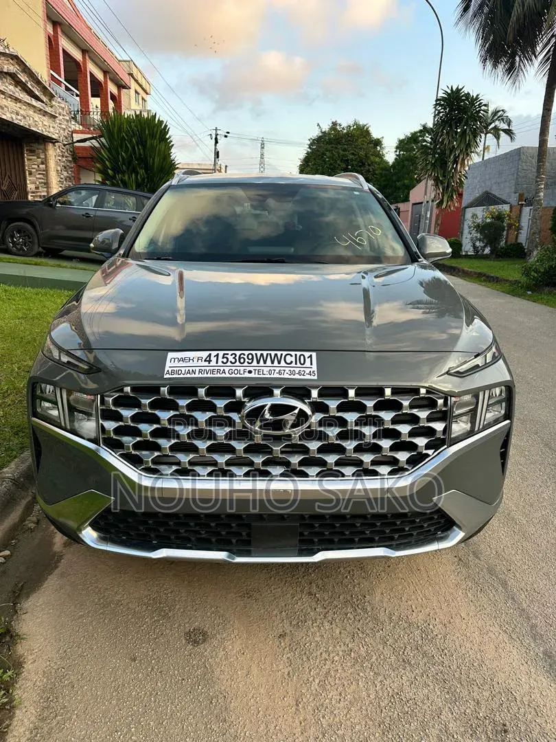 Hyundai Santa Fe 2023 Gris
