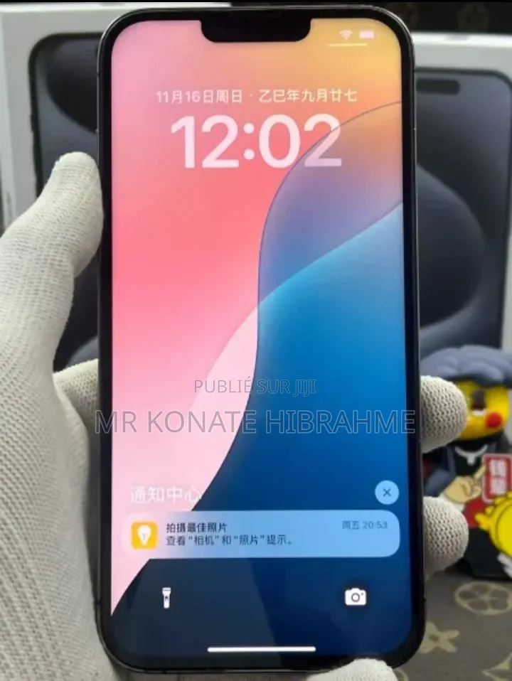 Nouveau Apple iPhone 13 Pro Max 256 GB Noir