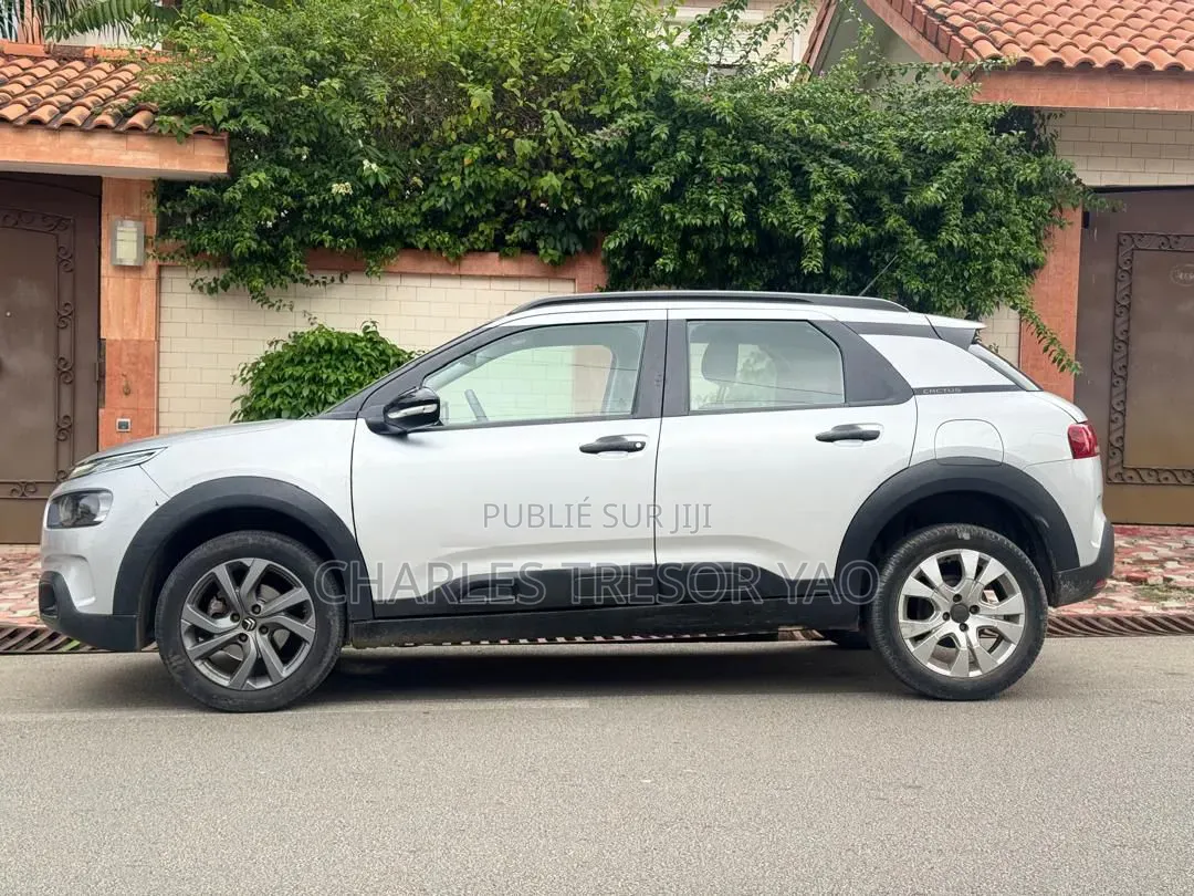 Citroen C4 2021 Gris