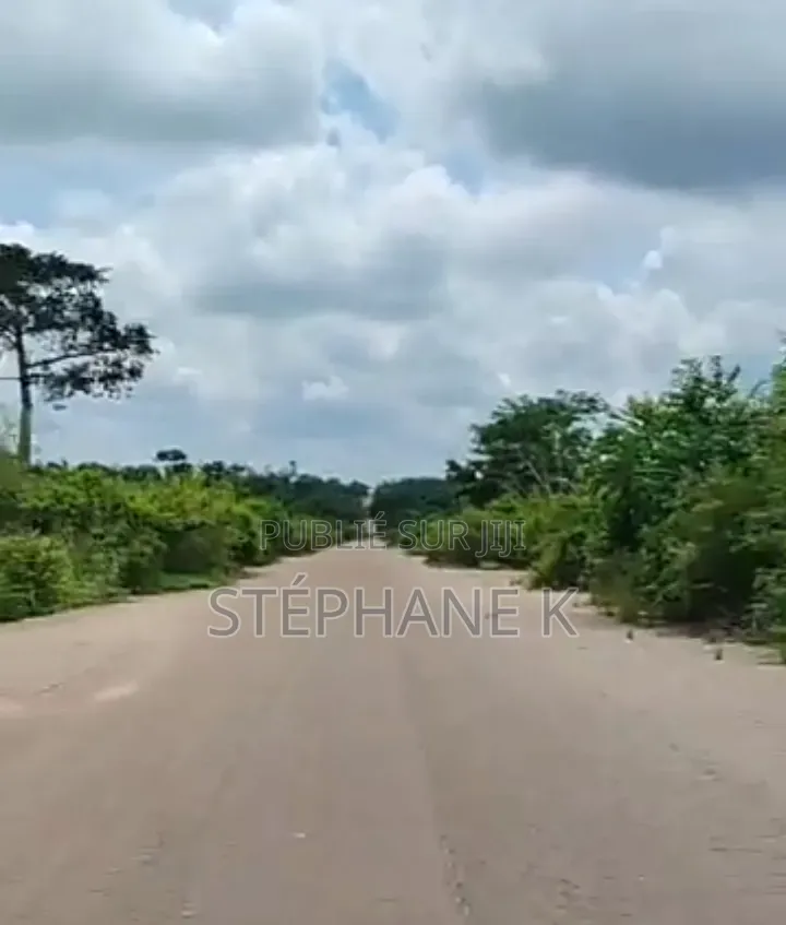  Opportunité De Terrains À Yamoussoukro 2 Terrains À Kami