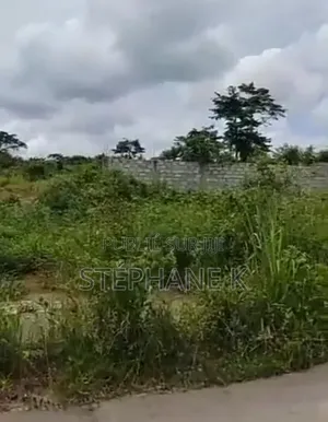  Opportunité De Terrains À Yamoussoukro 2 Terrains À Kami