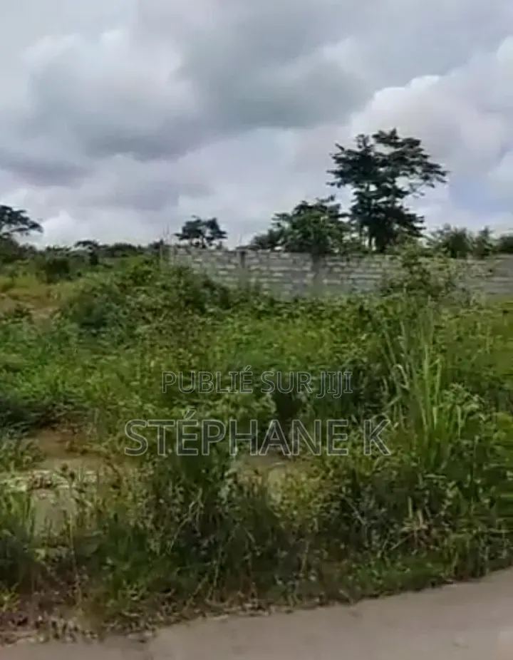  Opportunité De Terrains À Yamoussoukro 2 Terrains À Kami