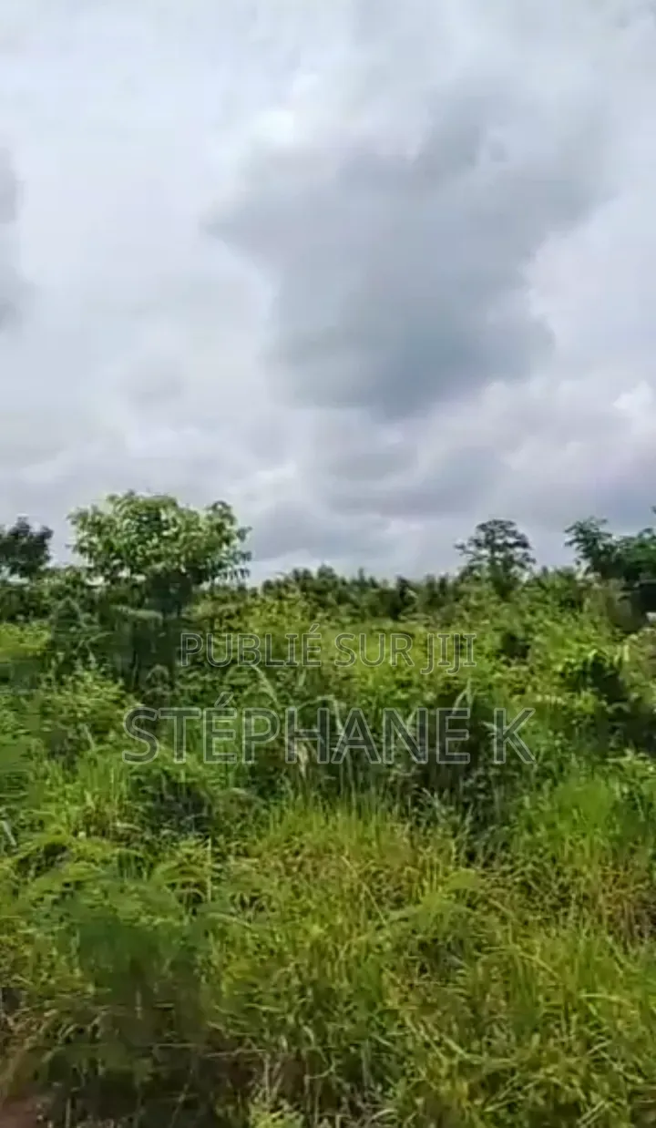  Opportunité De Terrains À Yamoussoukro 2 Terrains À Kami