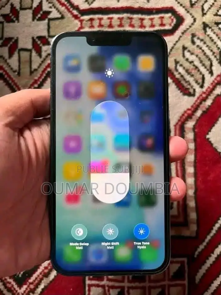 Nouveau Apple iPhone 13 Pro 256 GB Gris