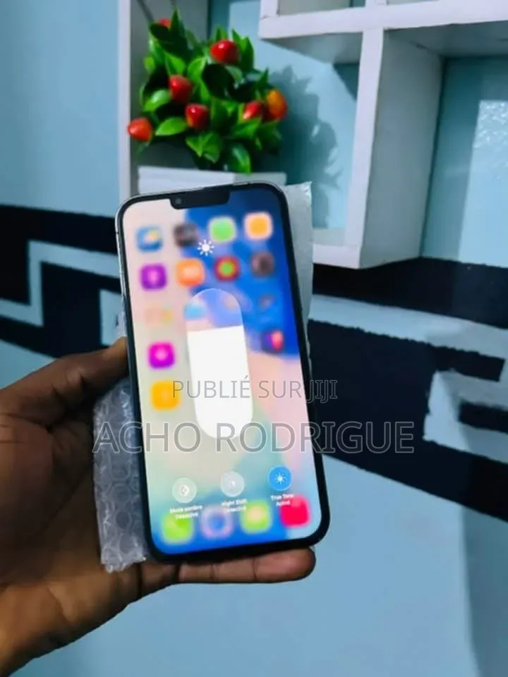 Nouveau Apple iPhone 13 Pro Max 512 GB Bleu