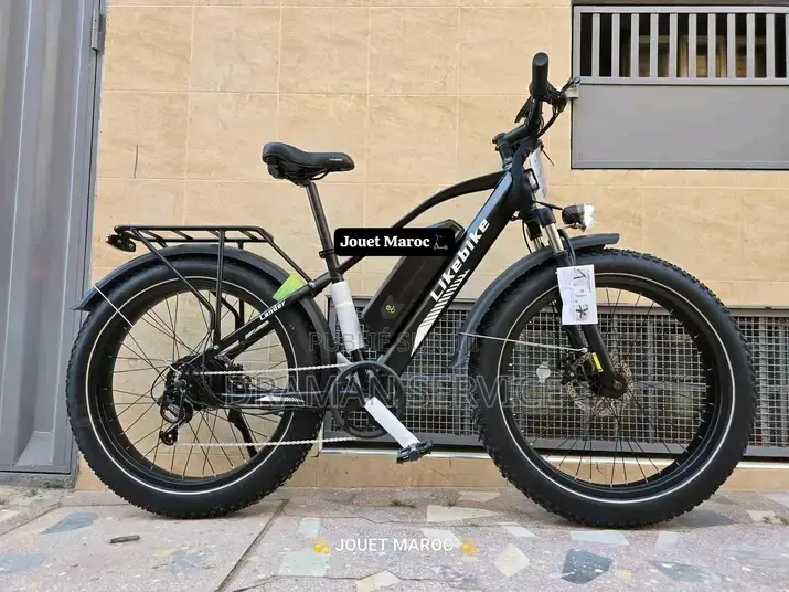 Vélo Électrique