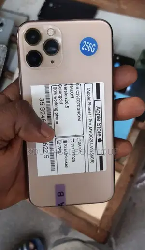 Nouveau Apple iPhone 11 Pro Max 256 GB Gris
