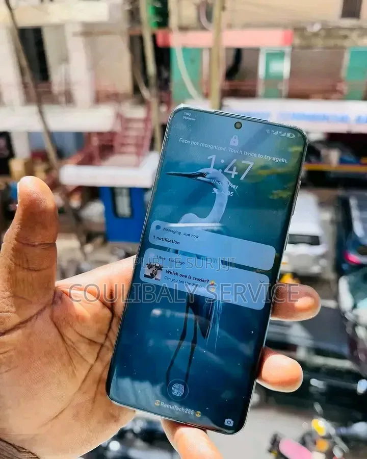 Nouveau Huawei P60 Pro 256 GB Autre