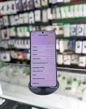 Nouveau Xiaomi 15 Ultra 512 GB Autre