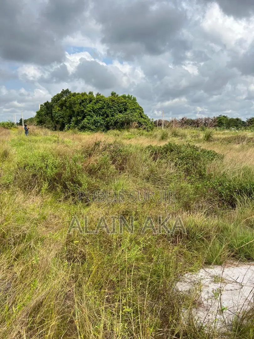 A Vendre À Assinie Terrains De 600m2 Avec Acd Disponible