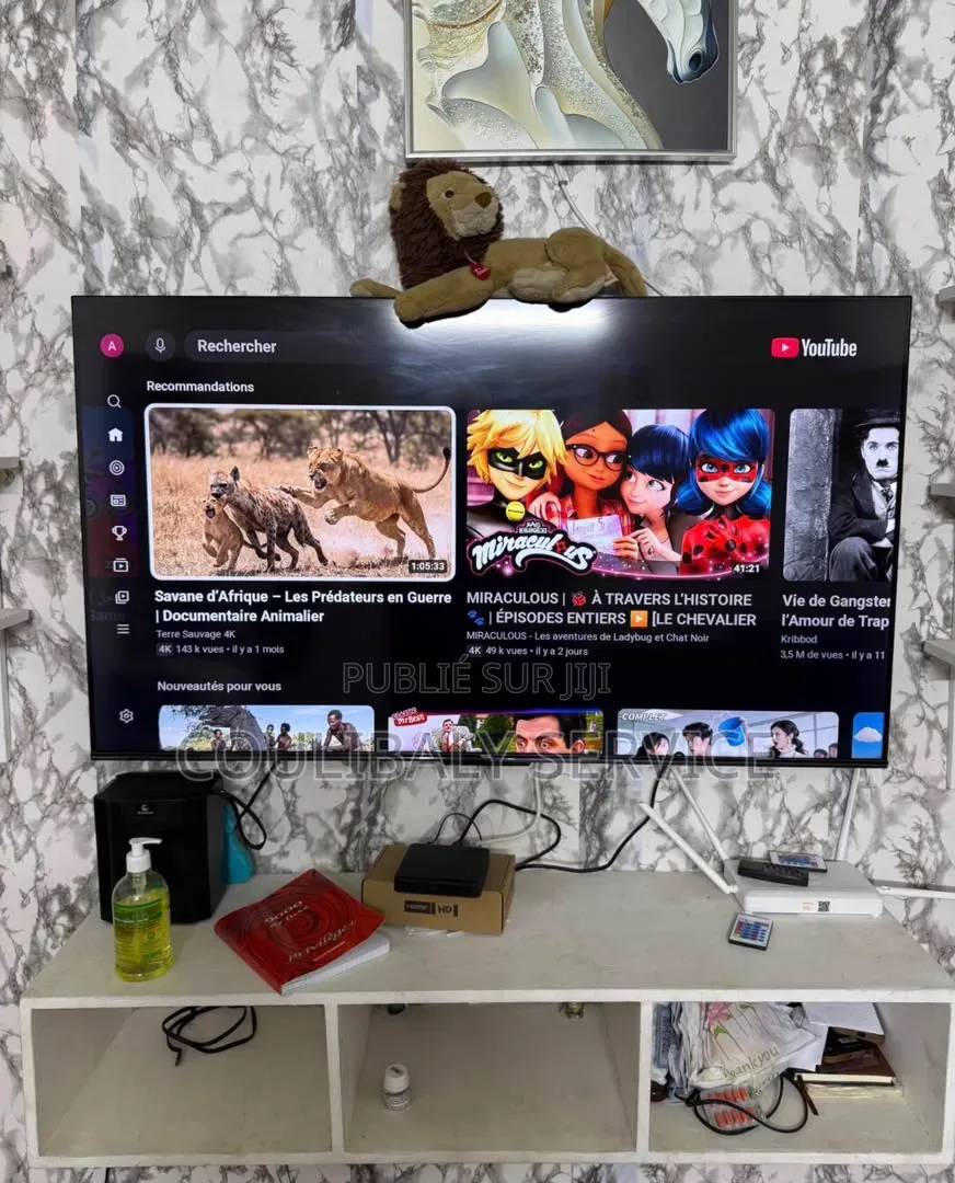 Télévision Smart 55 Pouces
