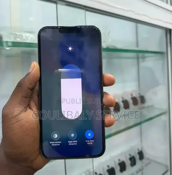 Nouveau Apple iPhone 13 Pro 256 GB Bleu
