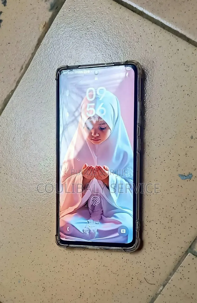 Nouveau Samsung Galaxy S21 Ultra 5G 512 GB Autre