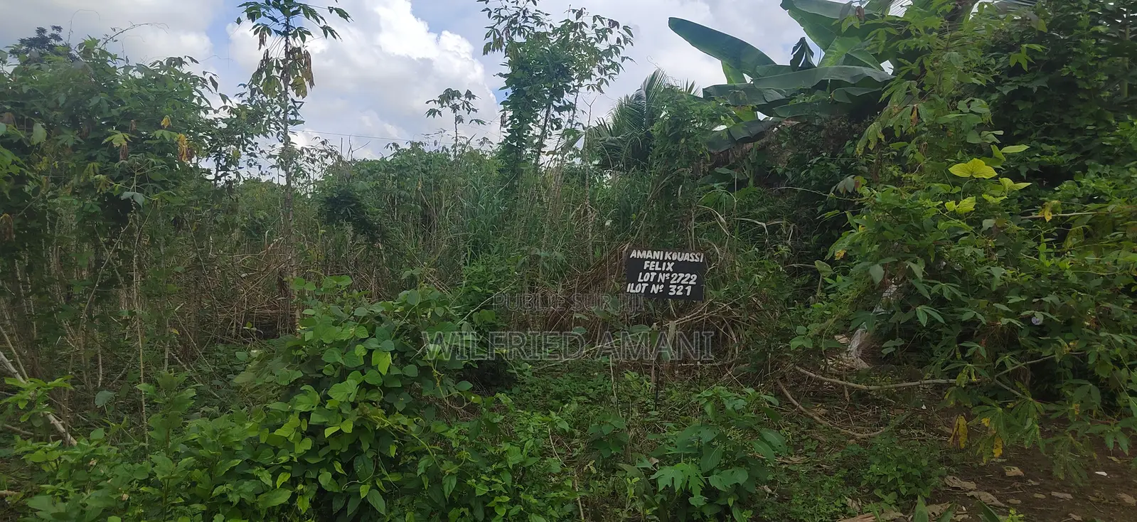 Location Ou Vente De Terrain