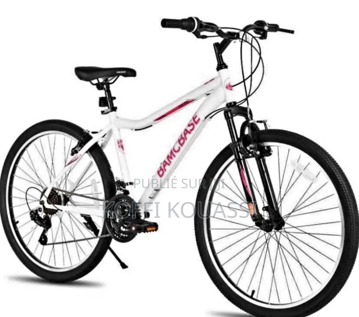 Vélo Électrique