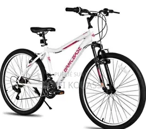 Vélo Électrique