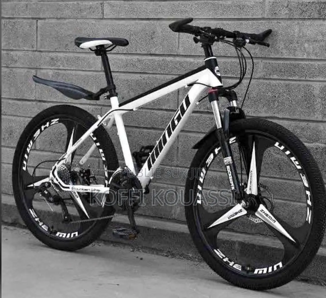 Vélo Électrique