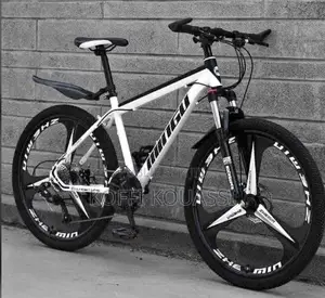 Vélo Électrique