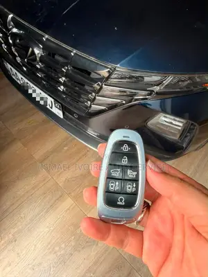 Hyundai Tucson 2024 Bleu