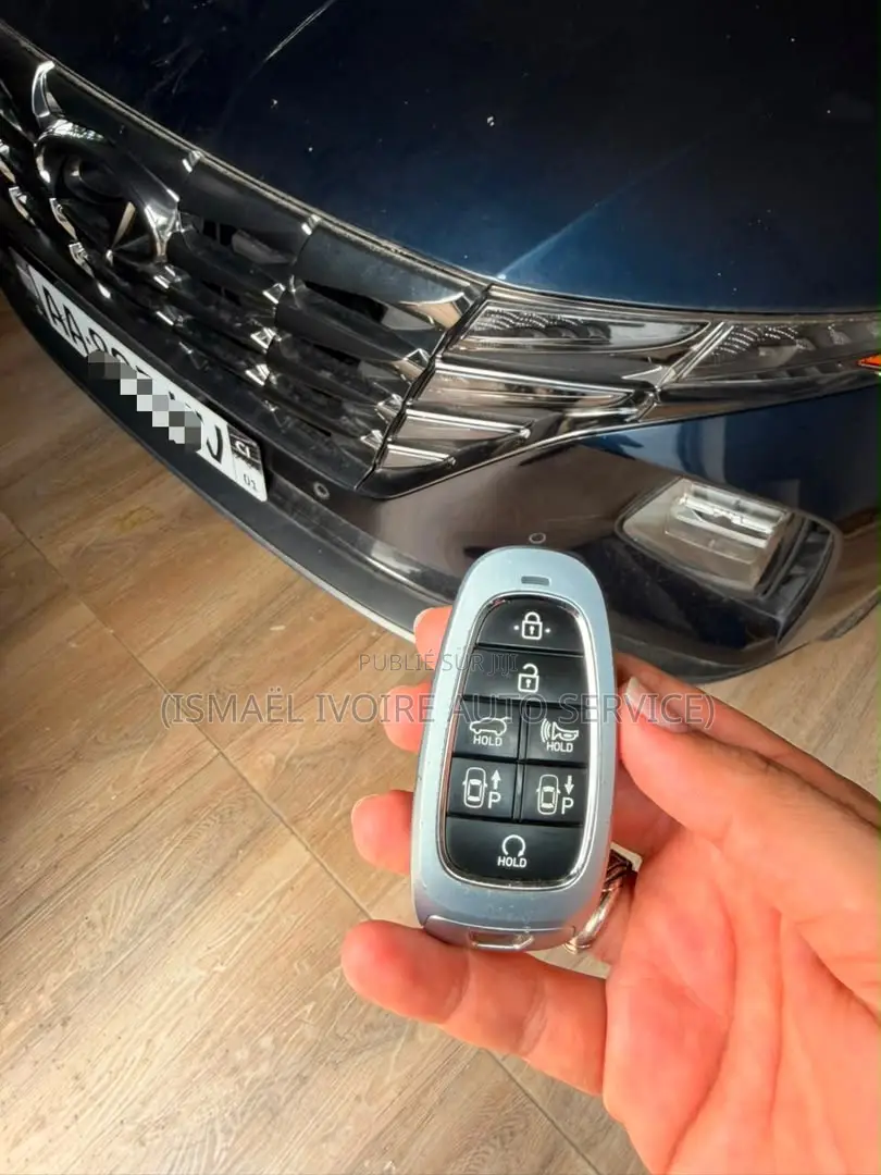 Hyundai Tucson 2024 Bleu